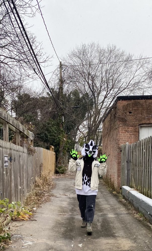 Bidge the Badgergator walks through a back alley towards you. They are happy to see you!! It is cold and lightly snowing. 
