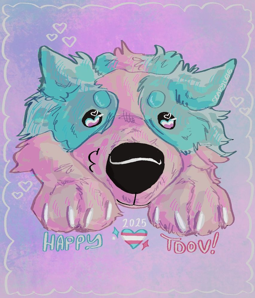 Pink and blue border collie laying down with its nose close to the camera. it looks joyful. This drawing is themed for trans day of visibility. The text reads “happy TDOV 2025”. 