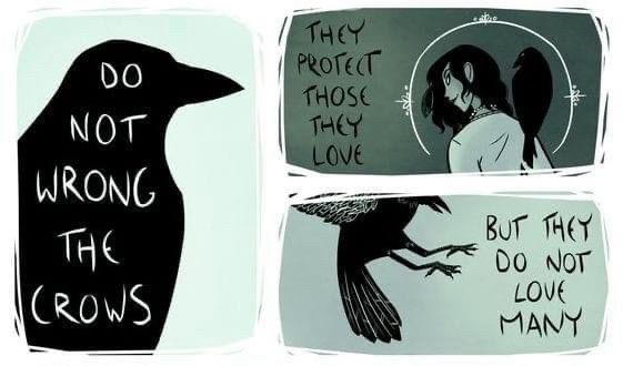 DO NOT WRONG THE CROWS

THEY PROTECT THOSE THEY LOVE

BUT THEY DO NOT LOVE MANY