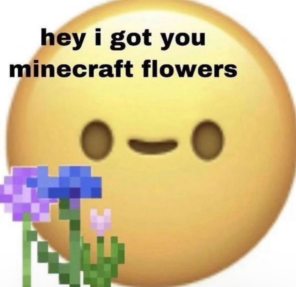 Smiley face holding Minecraft flowers saying "hey I got you Minecraft flowers"
