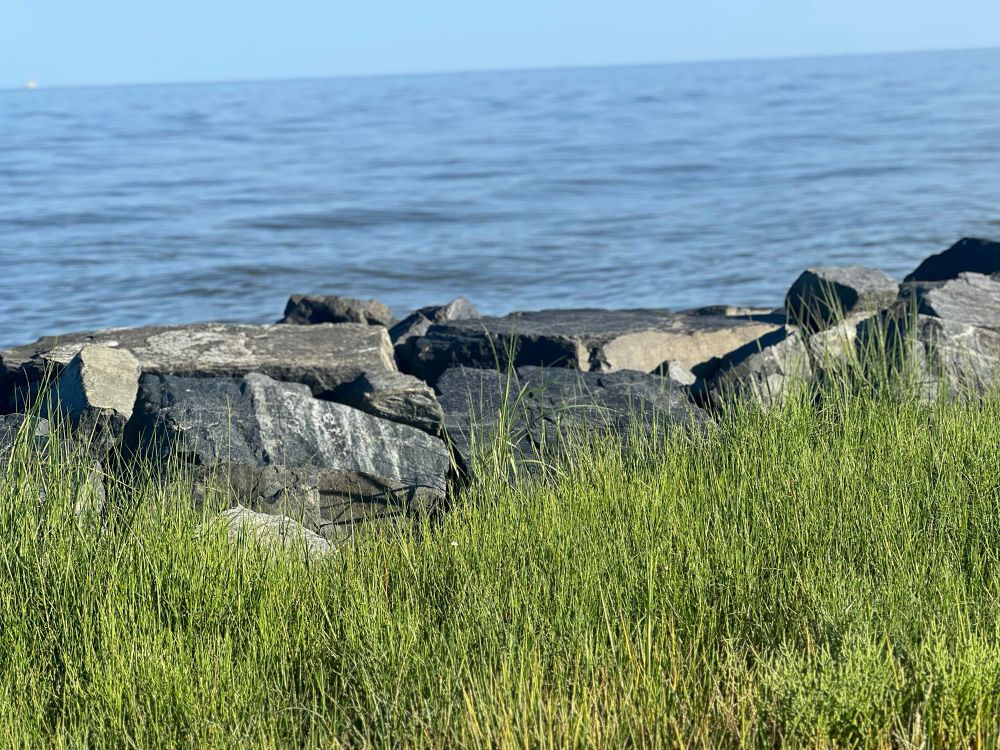 #alphabetchallenge
#weekRforRock
Rocky shoreline of Chesapeake Bay in Shady Side, Maryland on a beautiful sunny day 
