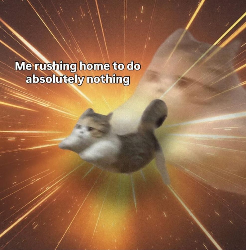 Imagem de meme mostrando um gato pequeno e gordinho que parece estar voando para a frente em alta velocidade. O fundo é um borrão de feixes de luz laranja e amarelo, como um efeito de 'warp', com uma imagem maior e desbotada do rosto do gato aparecendo atrás. O texto sobreposto diz: 'Eu correndo para casa para não fazer absolutamente nada'.