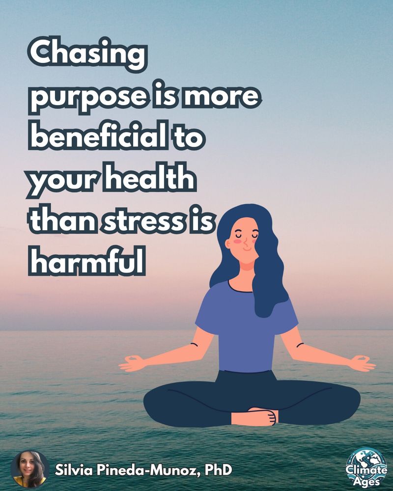 Illustration of a woman meditating in a cross-legged pose with the ocean and pastel sky at sunset in the background. Bold text on the left reads: “Chasing purpose is more beneficial to your health than stress is harmful.” At the bottom are the name “Silvia Pineda-Munoz, PhD” and the Climate Ages logo.