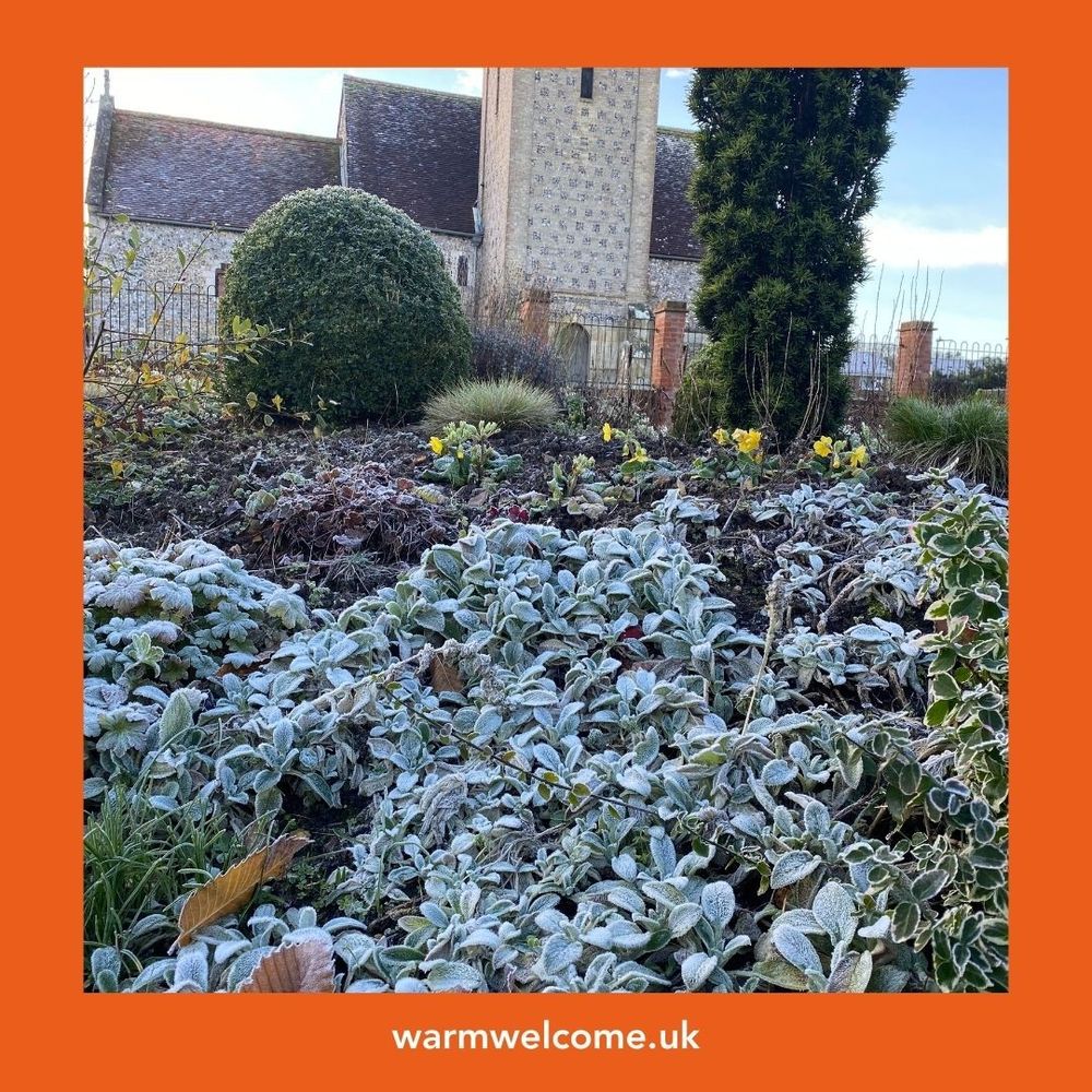 Image shows frosted leaves in the foreground and a church in the background