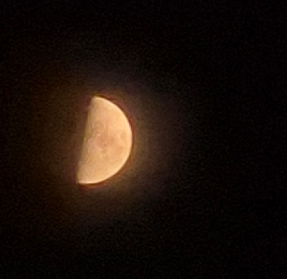 Mond
