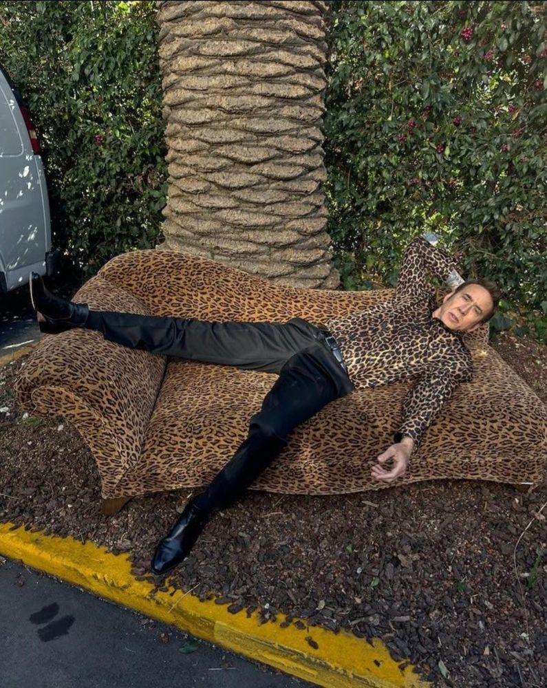 Nicholas Cage being peak Nicholas Cage. 
