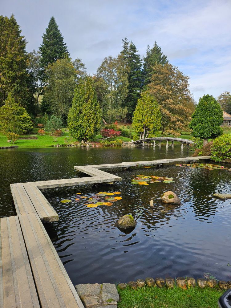A foreground of 3 bridges. Background of various treesvand shrubs.