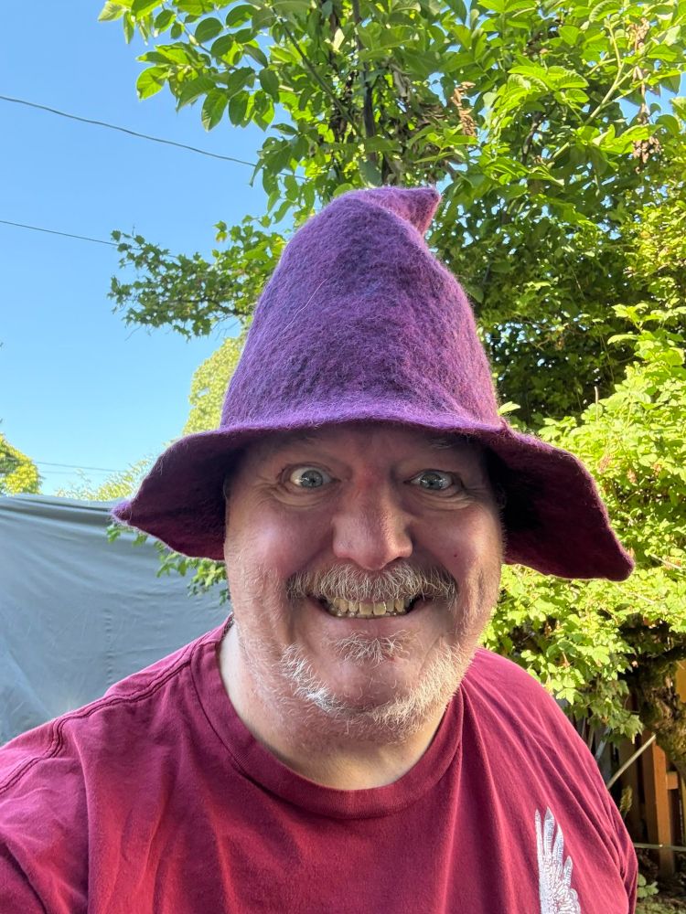  person outdoors wearing a whimsical purple felt wizard hat with a pointed tip. They have on a maroon shirt featuring a white feather design on the left side. Behind them is a lush garden with green foliage and a clear blue sky, adding a vibrant, natural backdrop to the playful outfit.
Would you like this adapted for a specific platform or tool?
