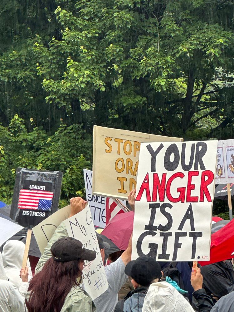 NJ No Kings Protest sign that says Your Anger Is A Gift.