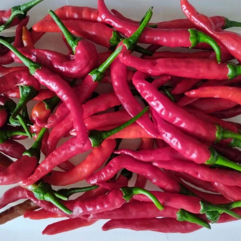 Gerntete Chilies.