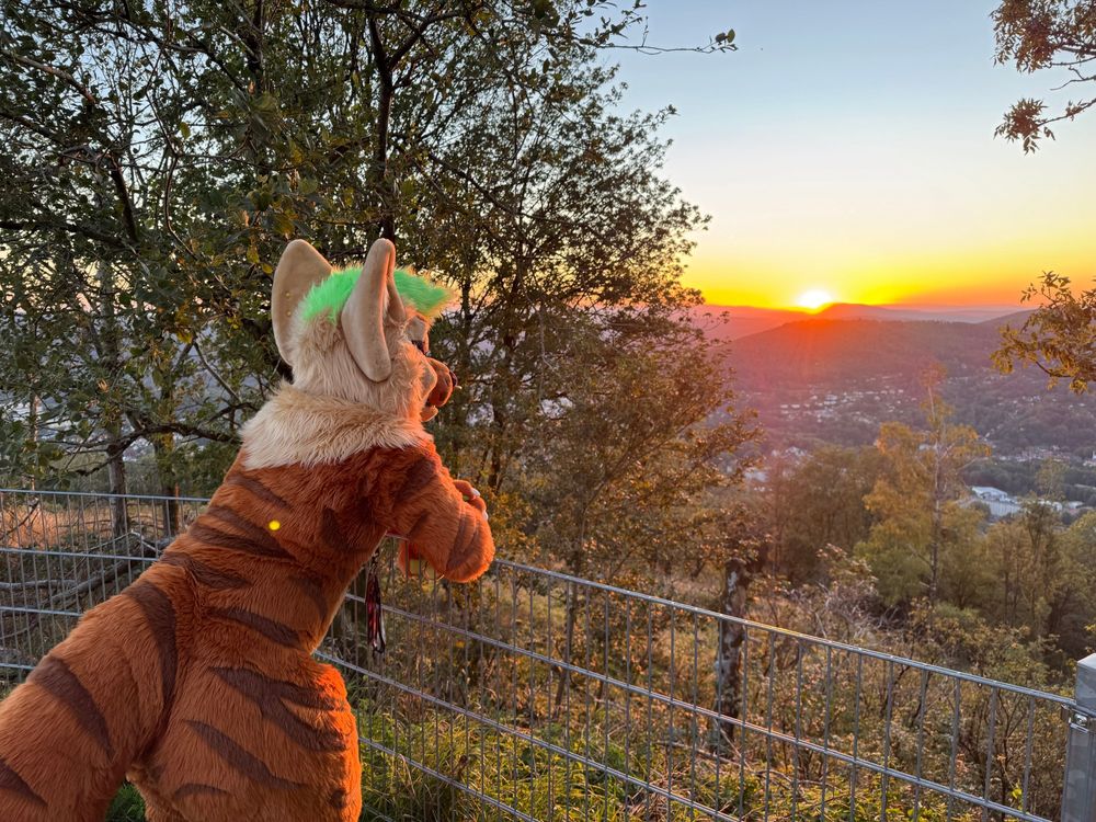 fursuiter leaning on a fence, looking out at the sunset, over some mountains in the distance