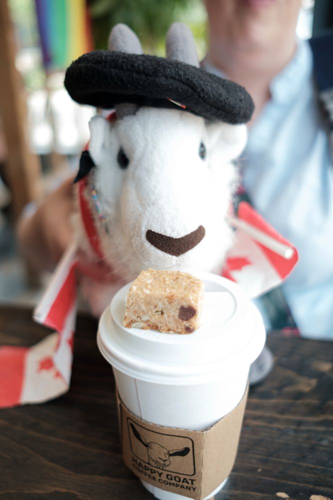 Stuffed goat sitting by a cup of coffee with a baked treat on top.