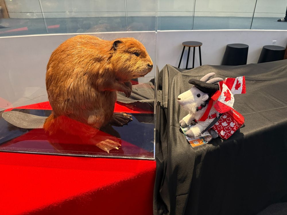 A charming stuffed goat festooned with con name badges and a rakish beret, talking with a stuffed beaver.
