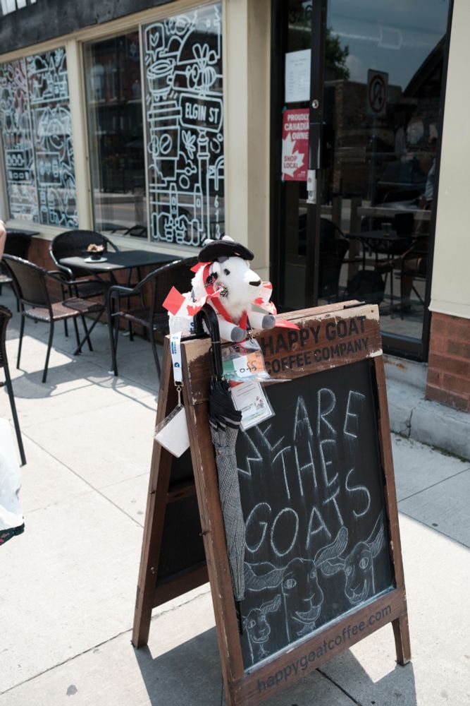 Groff the BSD Goat atop the sign for the Happy Goat coffee shop