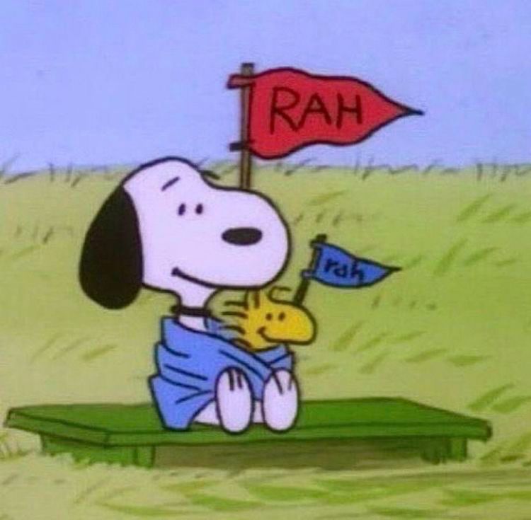 Snoopy and Woodstock sitting in a bench wrapped in a blanket. They have two flags one red that reads rah and one blue that reads rah but tiny 