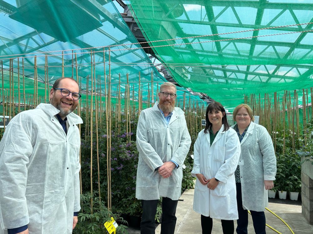 For people inside a greenhouse filled with potatoes grown