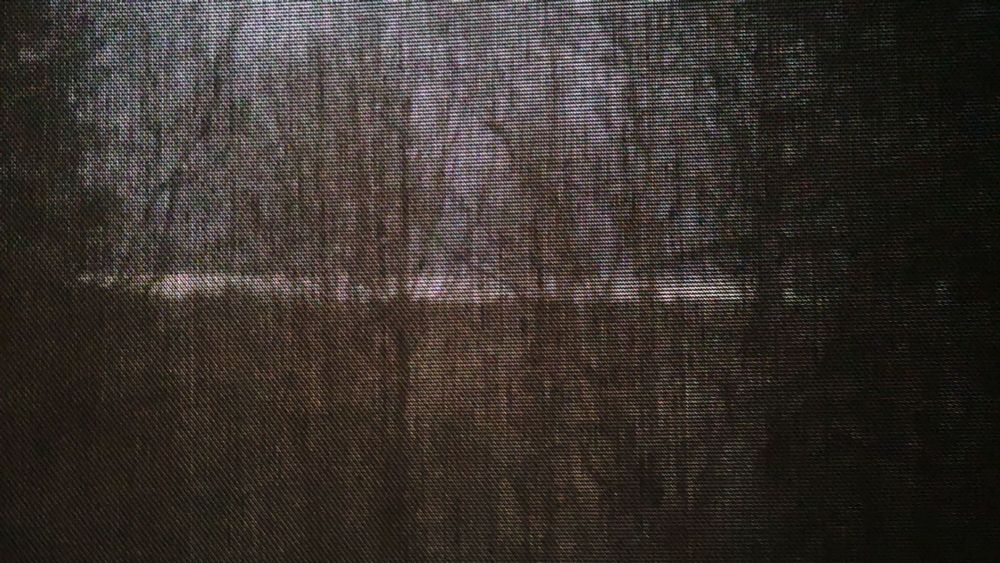 view of a forest and horizon through an almost opaque dark grey blind