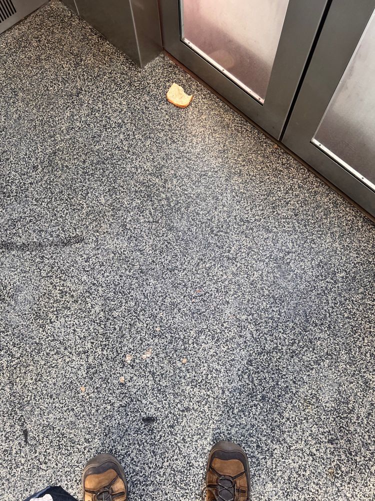 The tips of my shoes at the bottom of the photo; a slice of bread  and the elevator door at the top of the photo. 