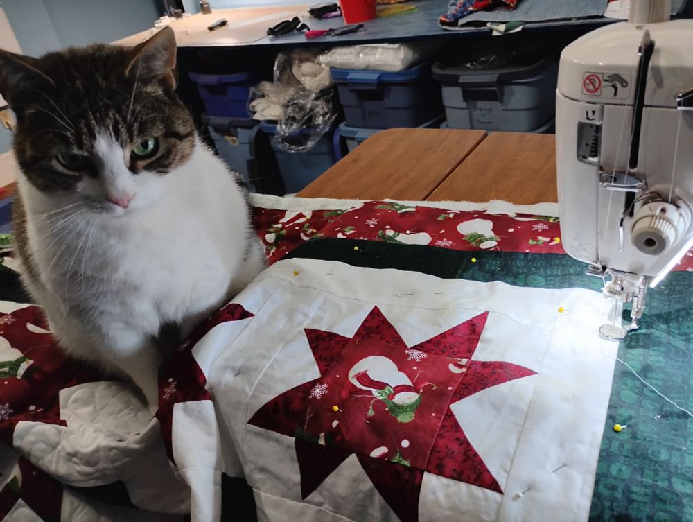 Tabby and white cat sits on a Christmas quilt that was in the process of being quilted on my Juki sewing machine until she weighed it down.