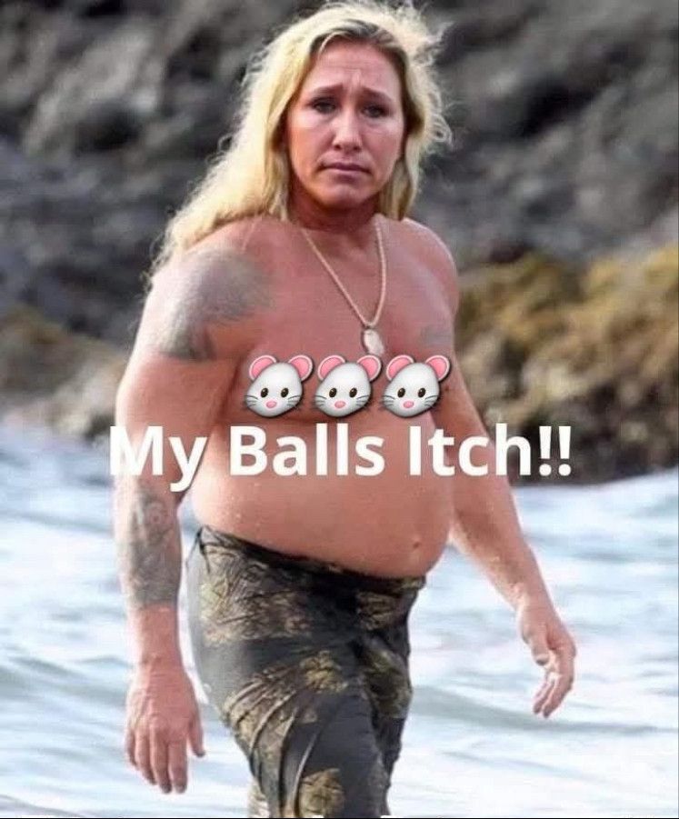 Comment image