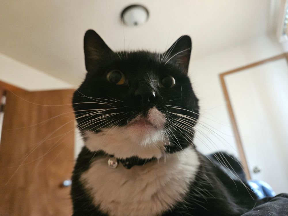 Abbytail says hi.