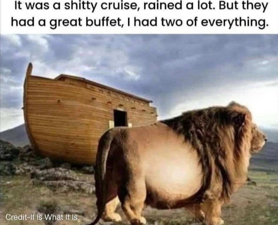Funny 😹 