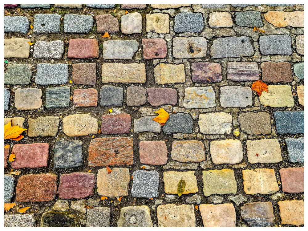 Pavés colorés (gris, bleutés, ocres, rouges...) avec quelques feuilles mortes orangées