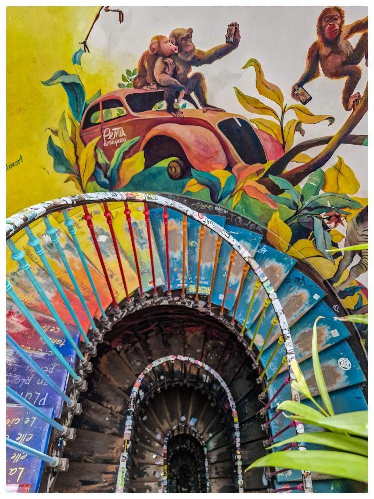 Vue plongeante sur une cage d'escalier dont les marches sont multicolores et les murs peints. Ici, la peinture représente des singes dont 2 faisant un selfie sur la carrosserie d'une voiture à l'abandon 
