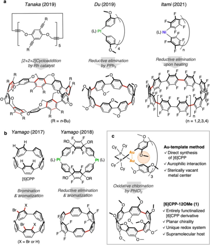 A dodecamethoxy[6]cycloparaphenylene consisting entirely of hydroquinone ethers: unveiling in-plane ...