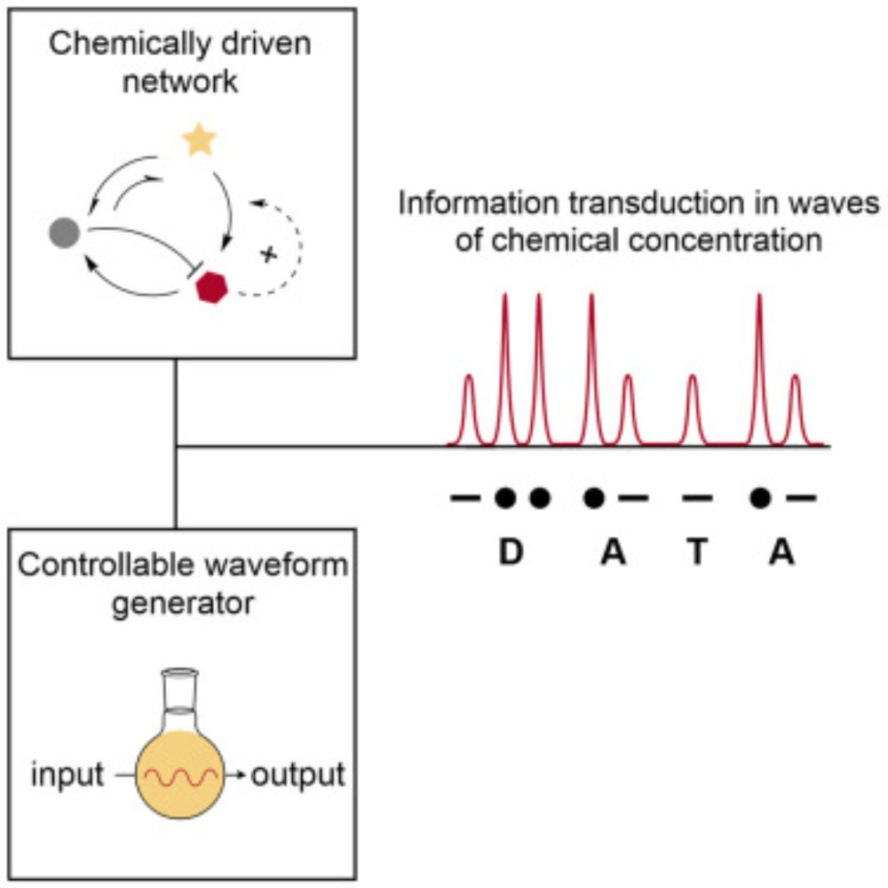 Information transduction via fuel-controlled chemical waves