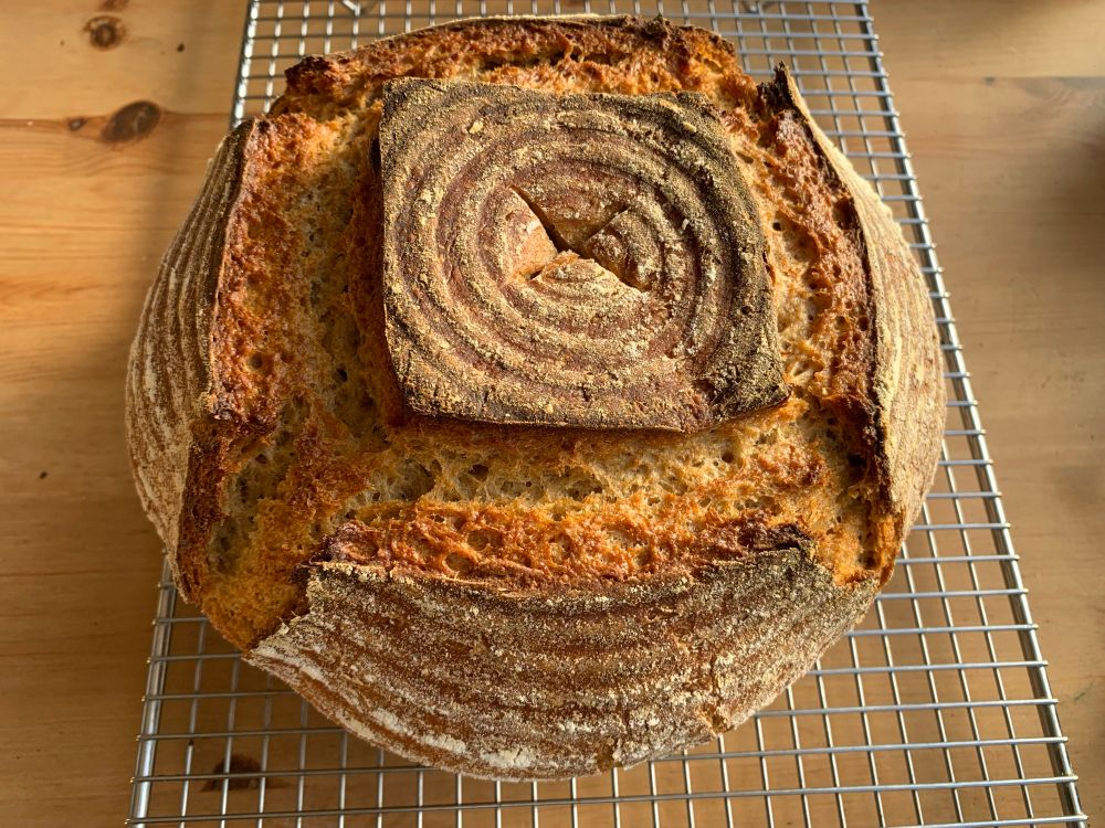 Sourdough bread freshly out of the oven on a cooling rack. 