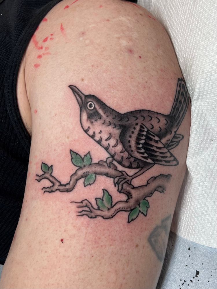 Black and grey tattoo of a house wren done in a traditional style on an arm.