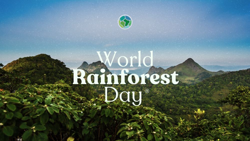 World Rainforest Day