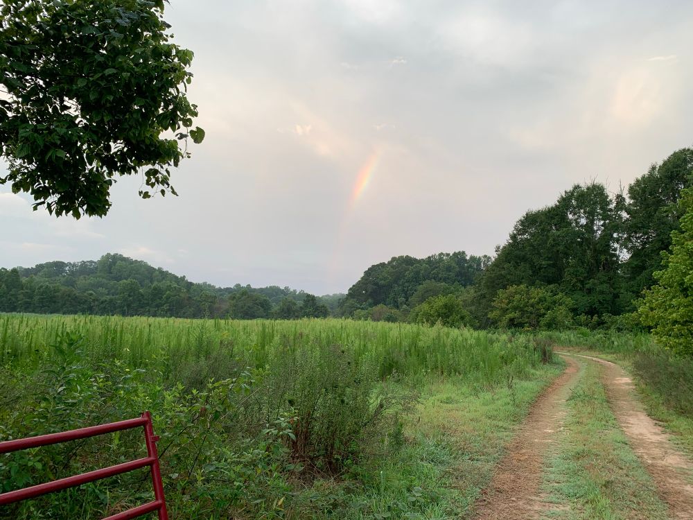 A rainbow in the sky, with an open red gate and a field in the foreground, and a forested hill in the background
