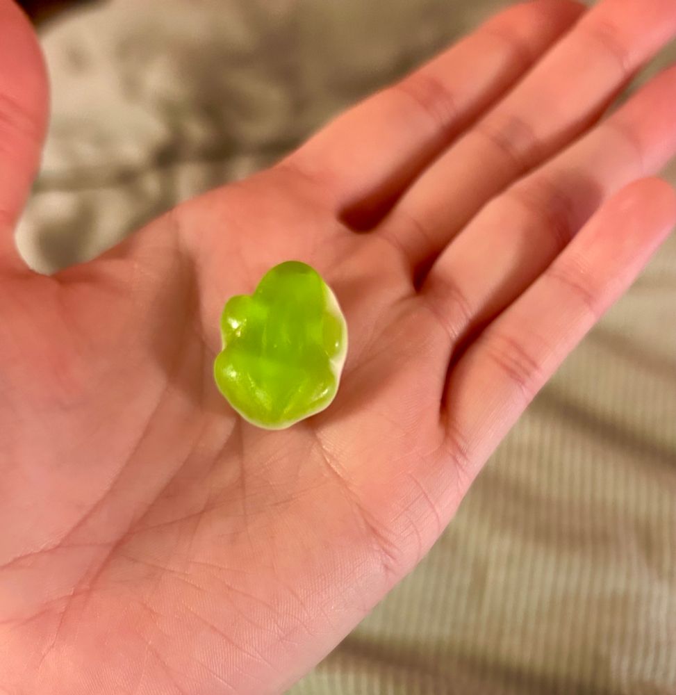 Close up of someone's palm with a gummy two-toned green and white frog candy. In the background is a striped green blanket, out of focus.