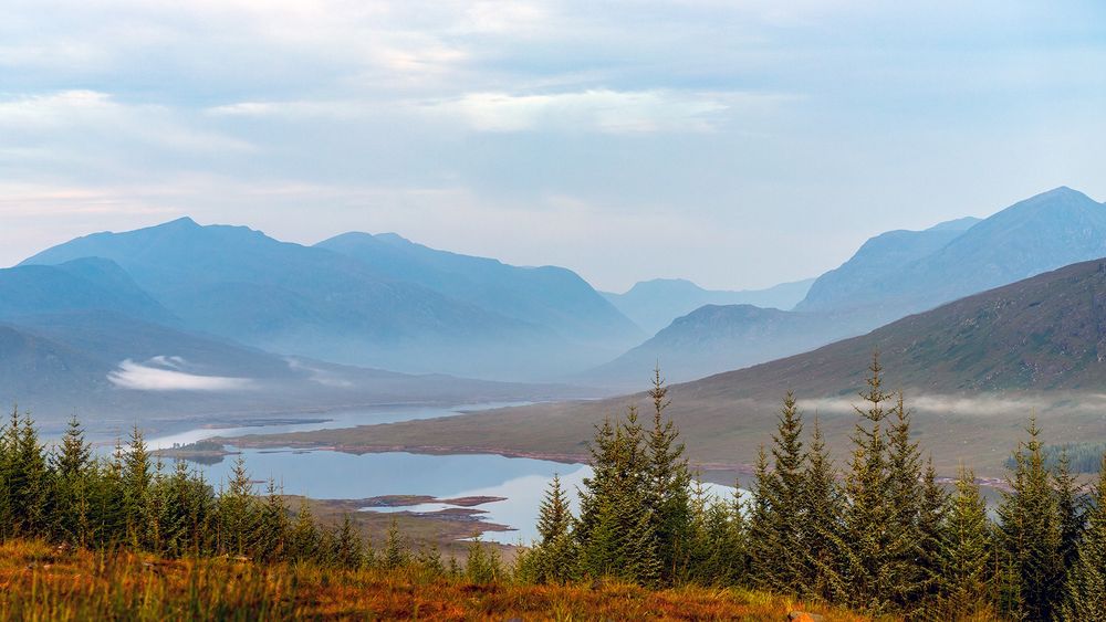 Mountains in the background, with wispy clouds around a calm loch, with young trees in the foreground.