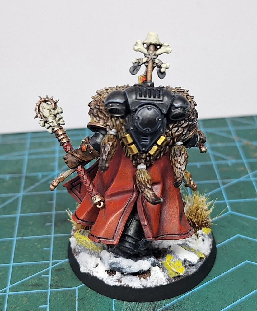 Back pic of Wolf Priest 