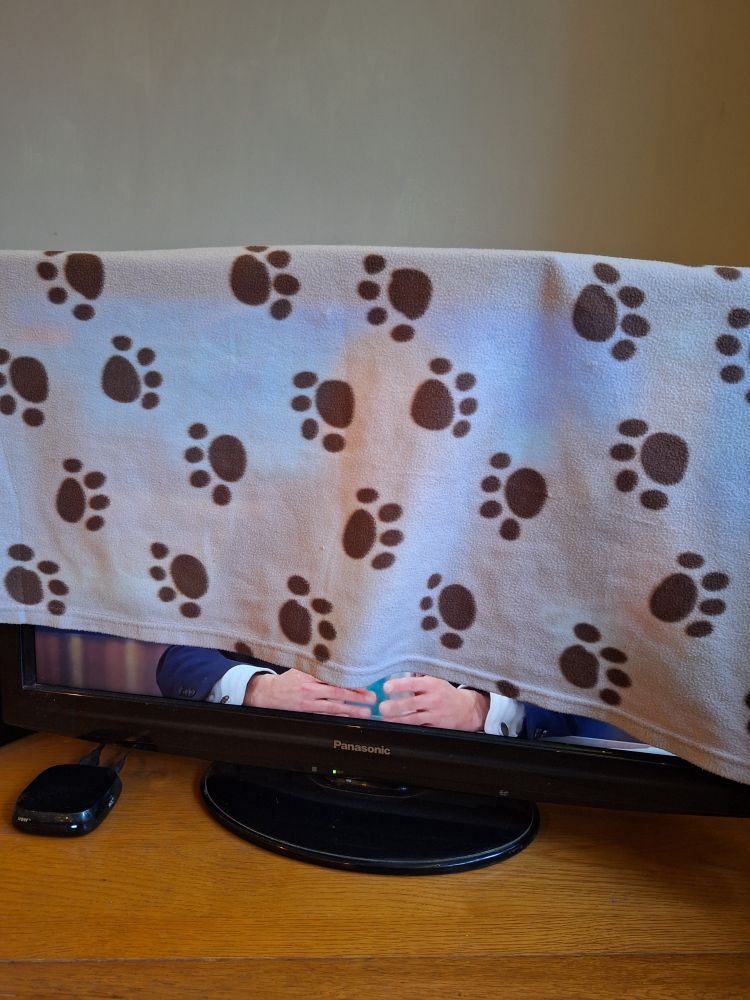Dog blanket coverage of Nigel Farage during a rare tv appearance.