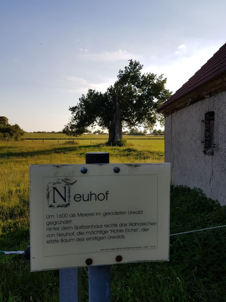 Im Vordergrund ein Schild mit der Erklärung, des im um 16000 gerodeten Urwalds. Rechts Teil eines Gebäudes, im Hintergrund kahle Fläche mit einer hohlen Eiche.