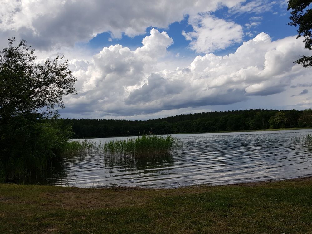 Im Vordergrund ein kleiner Strand, dahinter See mit Schilfinsel, li. Bäume, im Hintergrund Wald, viele Schäfchenwolken am blauen Himmel.