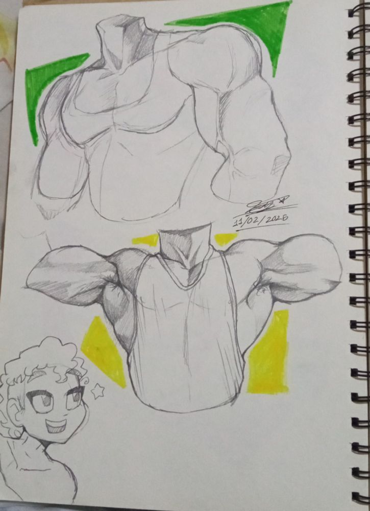 Muscular chest sketches, pecs galore