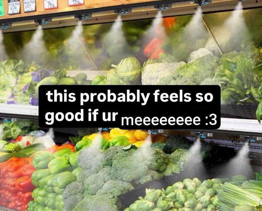 that viral image of various vegetables in a supermarket being sprayed with water, with the edited caption "this probably feels so good if ur meeeeeeee :3"
