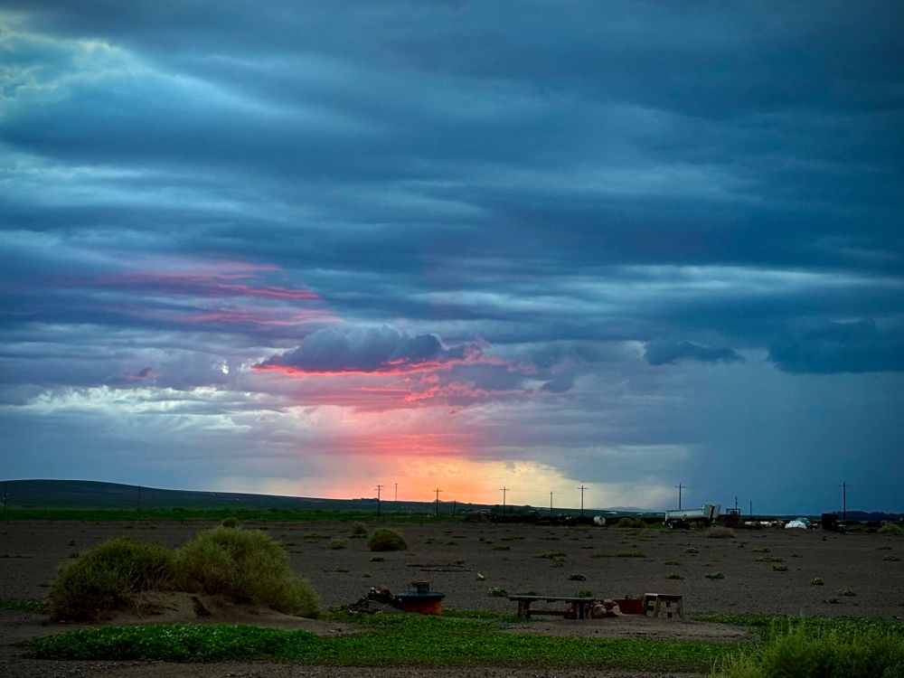 A meager pink orange sunbeam illuminates the bottom of a single cloud in a sky full of grey storm clouds above a desert landscape after a thunderstorm, lush green weed growth is visible in the foreground. 