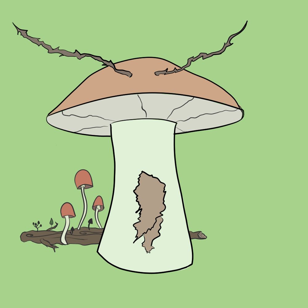 a faded green background with one large mushroom in the foreground. it is pale red on the top with skinny, ragged brown antlers. it has full gills underneath the cap and some brown scarring on its stem. behind it is a small log with three much smaller mushrooms growing out of it. they are a similar color to the largest.