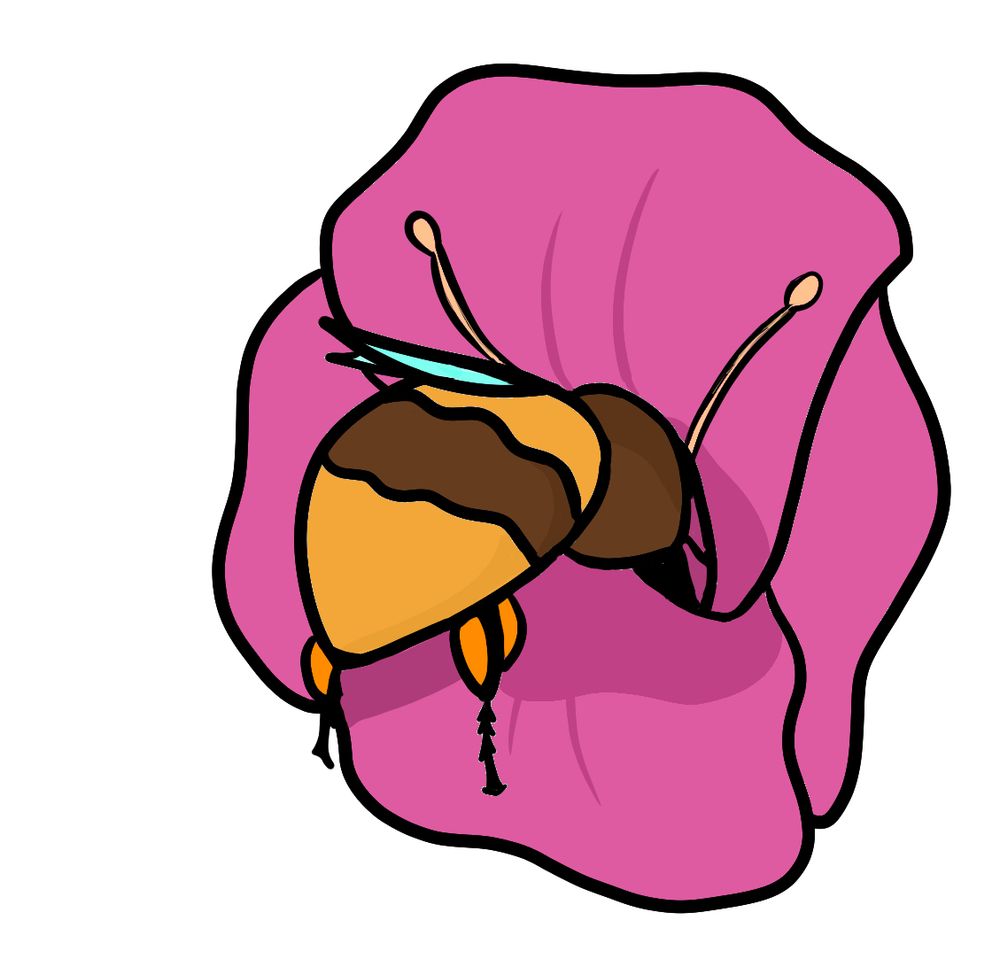 a yellow- and brown-striped bumble bee with its head in a pink flower. the bee has full pollen sacs on its hind legs.