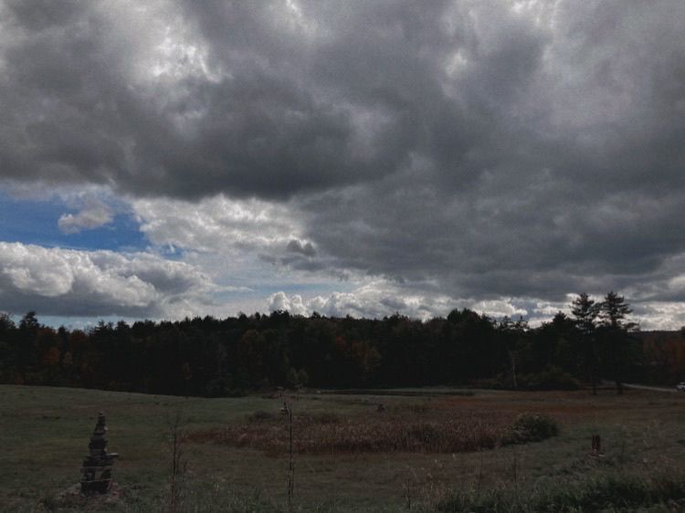 a field with stacked rocks in various places. pine trees and clouds in the background, with slight spots of blue peeking through.