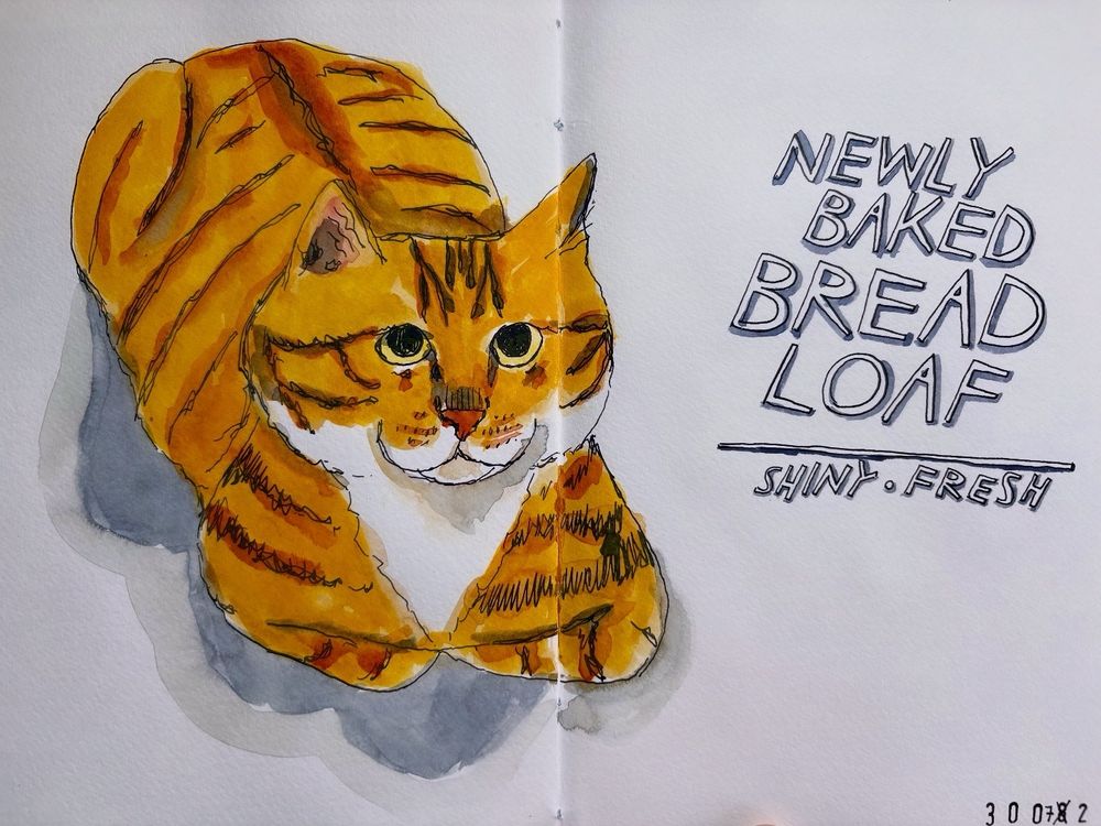 A sketch of an orange cat sitting in a bread loaf position. The text says, “Newly baked bread loaf. Shiny and Fresh.”