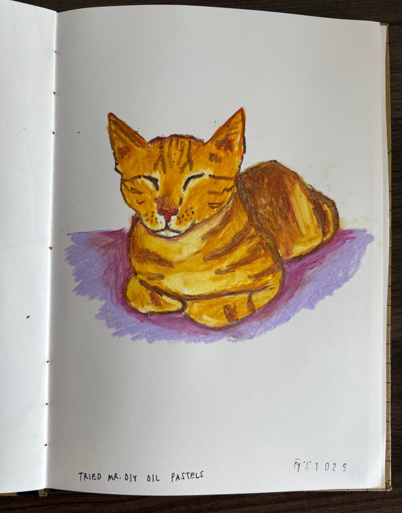 A sketch using inexpensive oil pastels that I bought from Mr. DIY store. The sketch is of an orange cat sleeping calmly. 