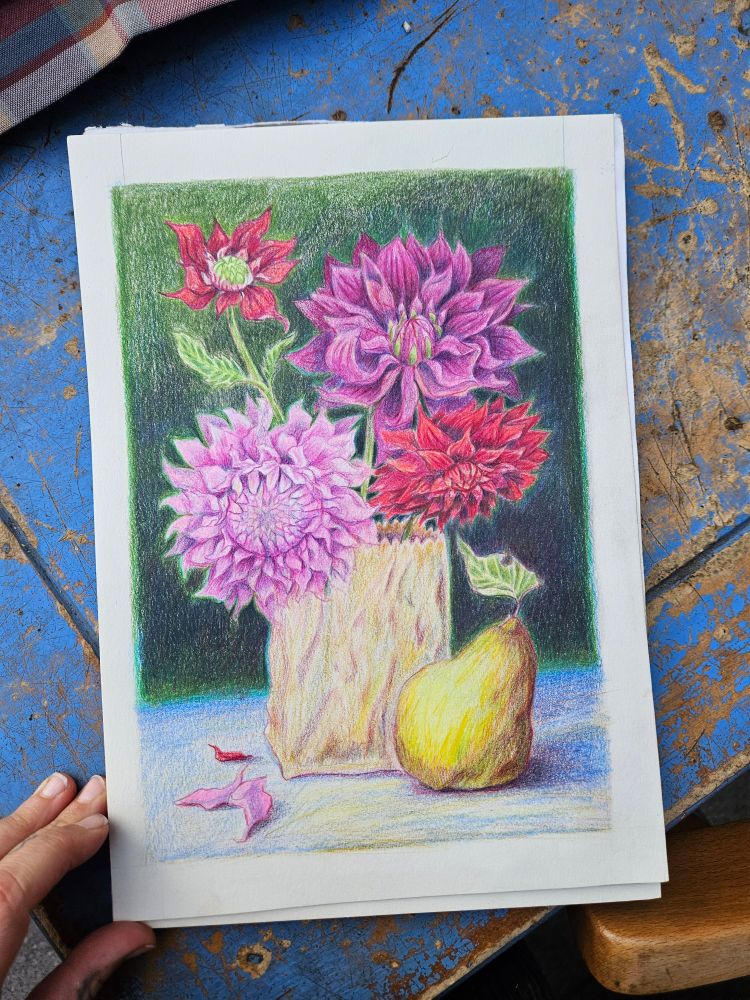 A drawing of four different kinds of dahlias, all shades of red and pink in a vase. There is a big pear on the table too.