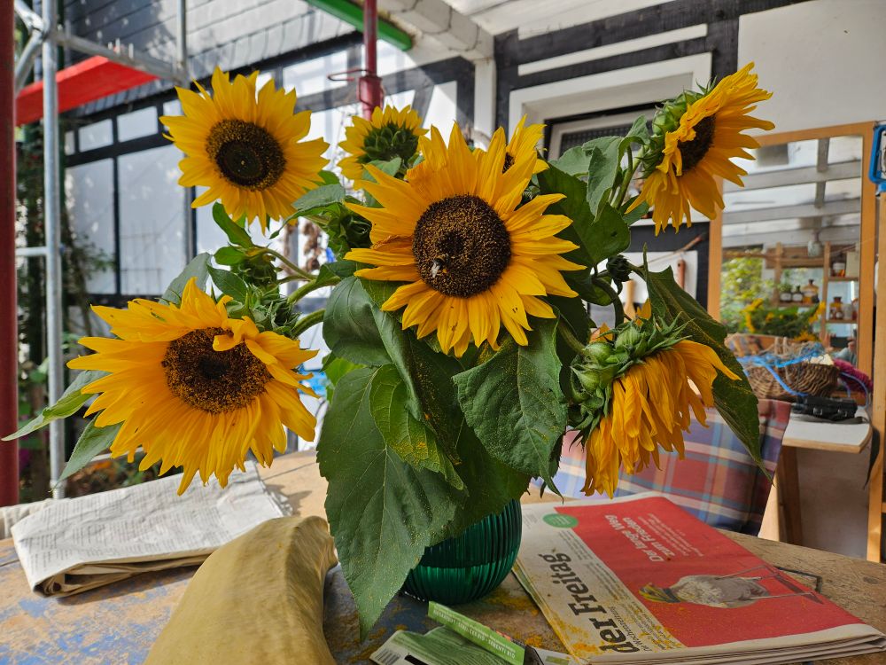 A big bunch of bright yellow sunflowers in a green glass vase on my messy blue garden table